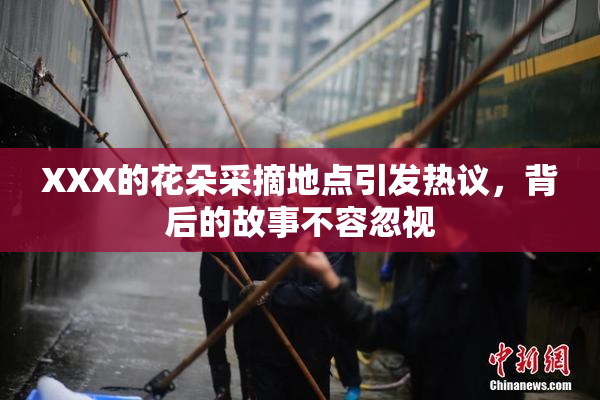 XXX的花朵采摘地点引发热议，背后的故事不容忽视