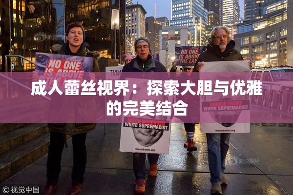成人蕾丝视界：探索大胆与优雅的完美结合