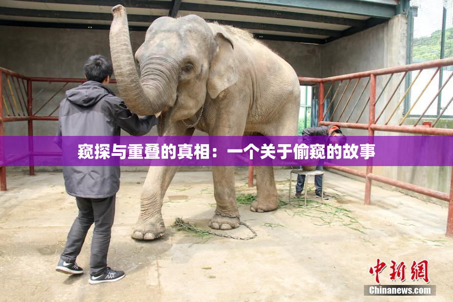 窥探与重叠的真相：一个关于偷窥的故事