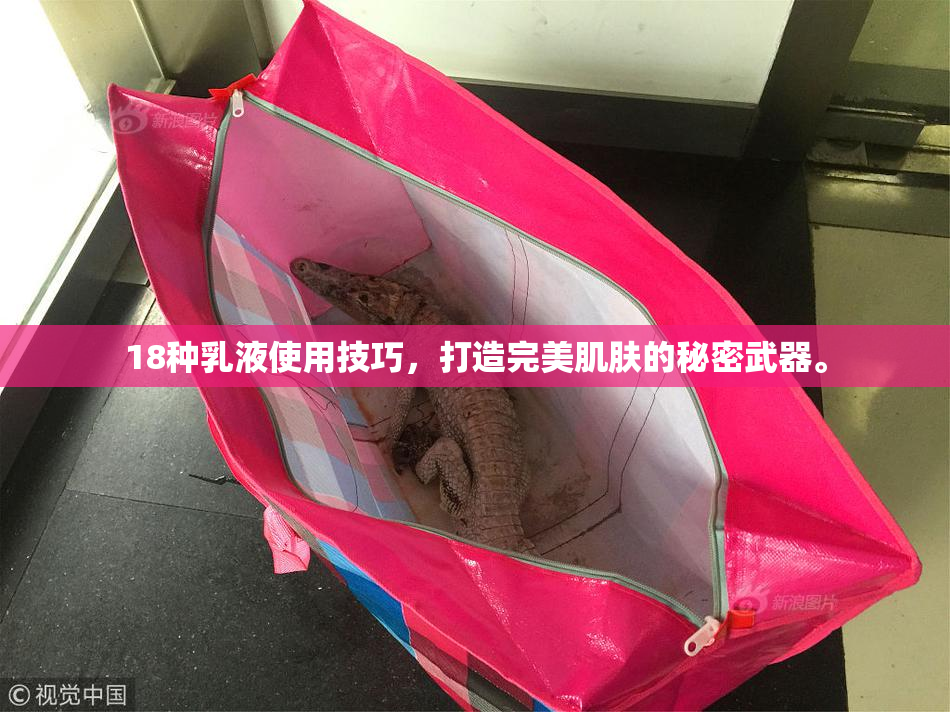 18种乳液使用技巧，打造完美肌肤的秘密武器。