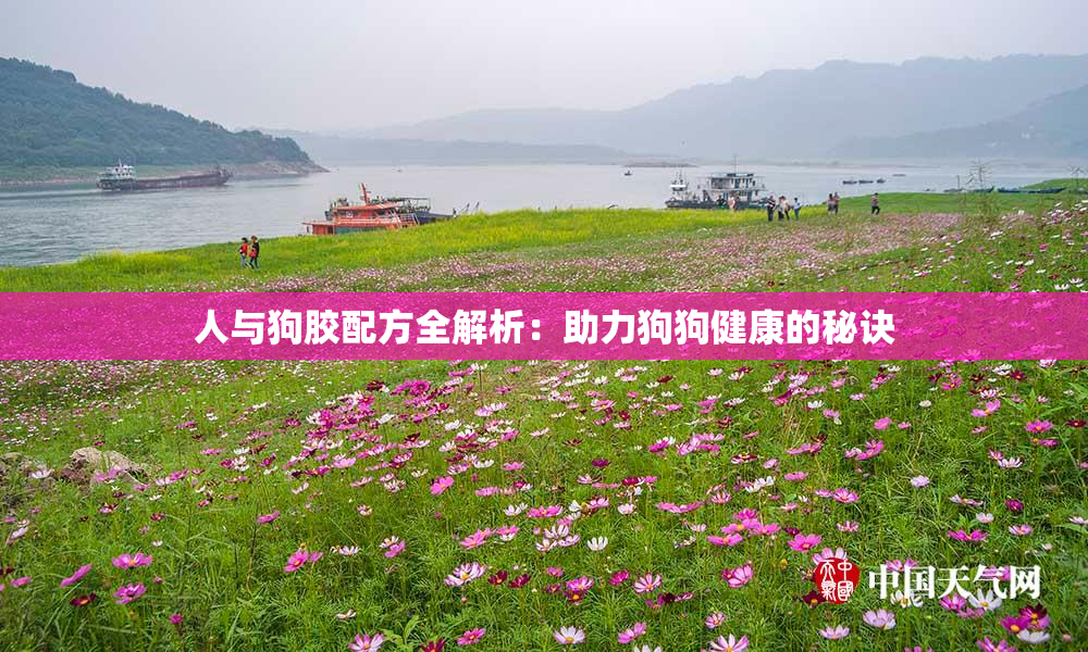 人与狗胶配方全解析：助力狗狗健康的秘诀