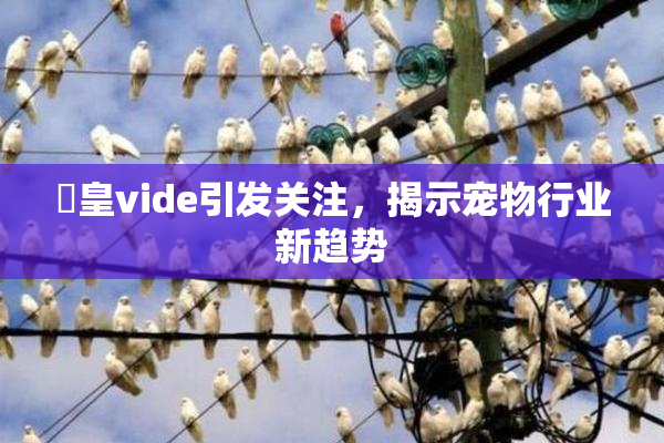 嘼皇vide引发关注，揭示宠物行业新趋势