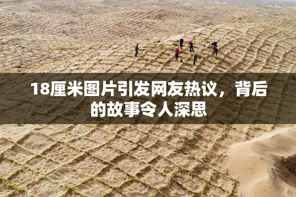 18厘米图片引发网友热议，背后的故事令人深思