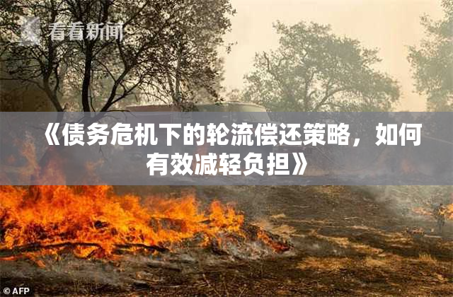 《债务危机下的轮流偿还策略，如何有效减轻负担》