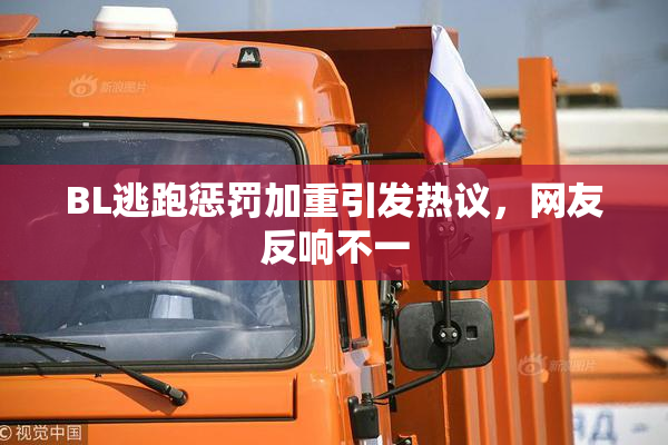 BL逃跑惩罚加重引发热议，网友反响不一