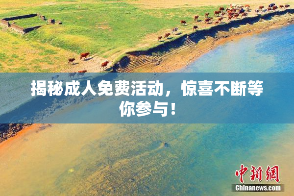 揭秘成人免费活动，惊喜不断等你参与！
