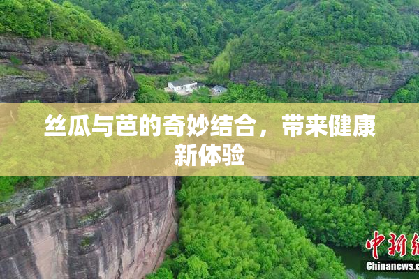 丝瓜与芭的奇妙结合，带来健康新体验