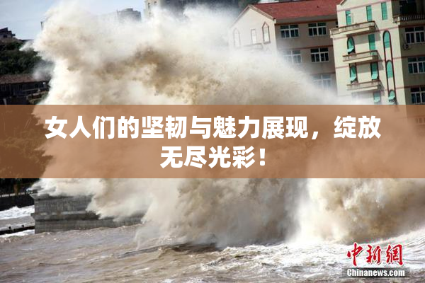 女人们的坚韧与魅力展现，绽放无尽光彩！