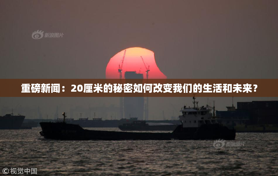 重磅新闻：20厘米的秘密如何改变我们的生活和未来？