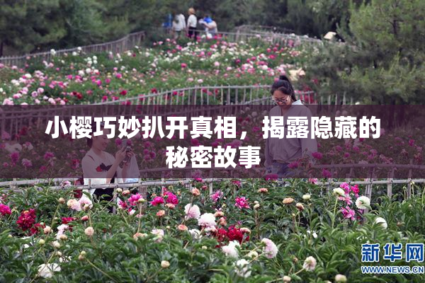 小樱巧妙扒开真相，揭露隐藏的秘密故事