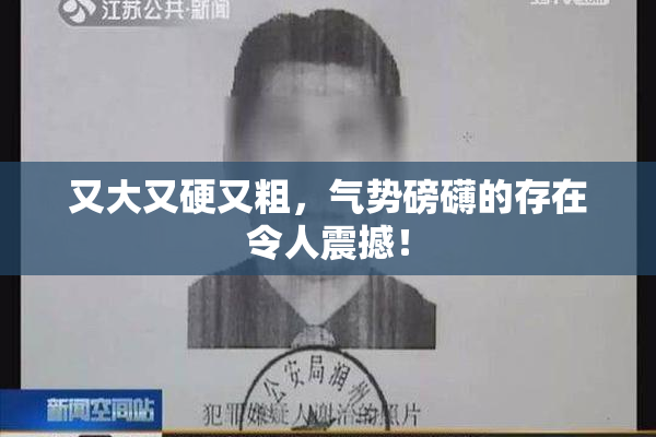 又大又硬又粗，气势磅礴的存在令人震撼！