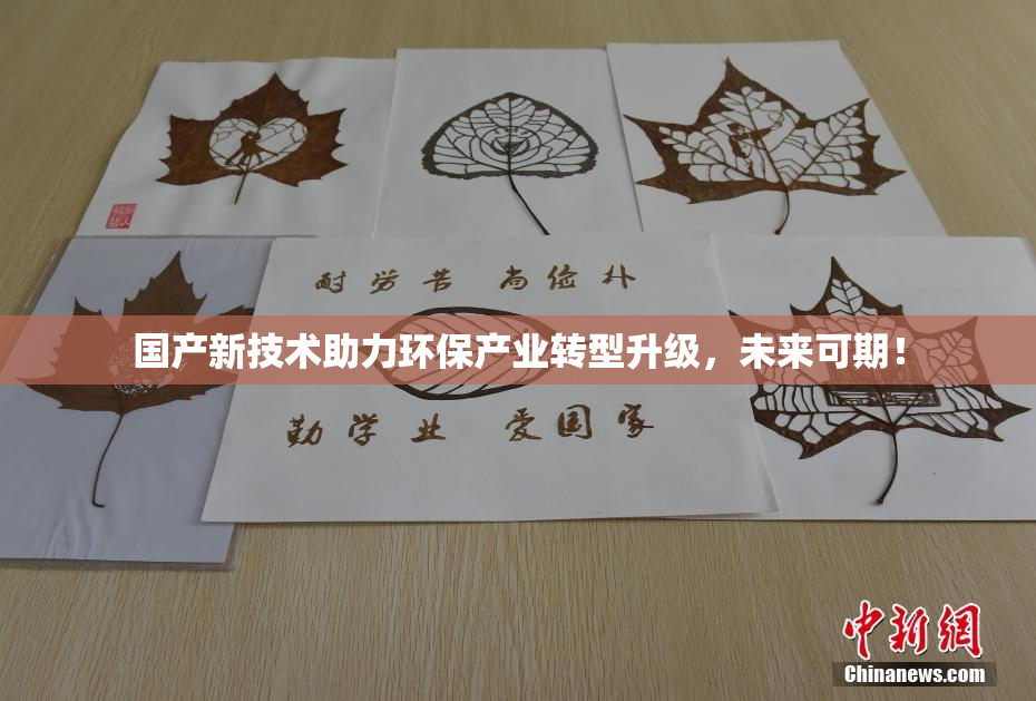 国产新技术助力环保产业转型升级，未来可期！