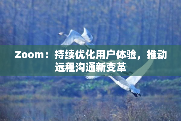 Zoom：持续优化用户体验，推动远程沟通新变革
