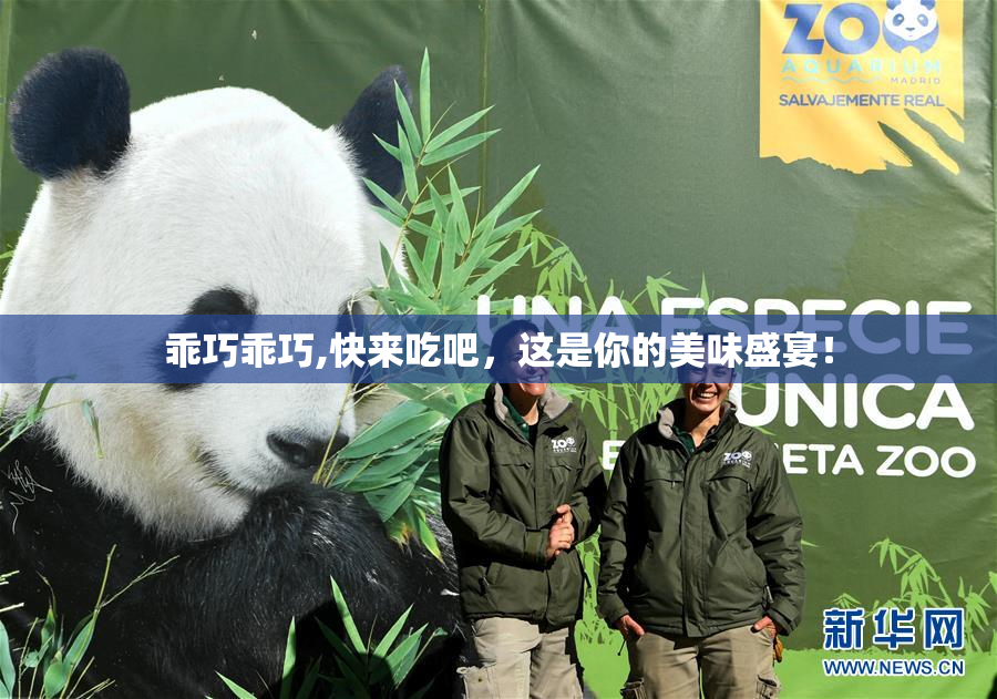 乖巧乖巧,快来吃吧，这是你的美味盛宴！