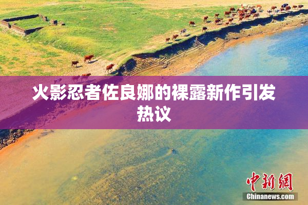 火影忍者佐良娜的裸露新作引发热议