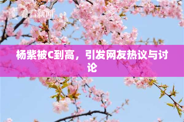 杨紫被C到高，引发网友热议与讨论
