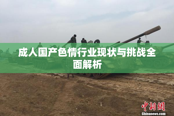 成人国产色情行业现状与挑战全面解析