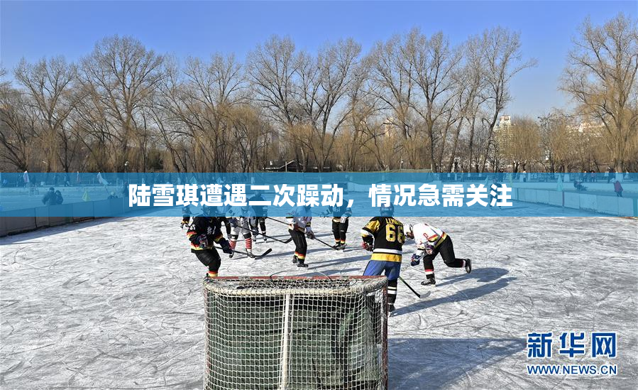陆雪琪遭遇二次躁动，情况急需关注