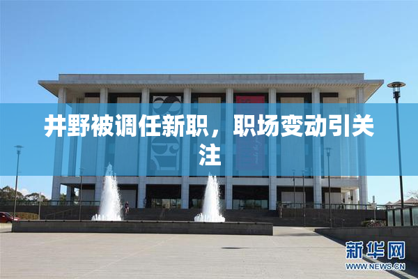 井野被调任新职，职场变动引关注