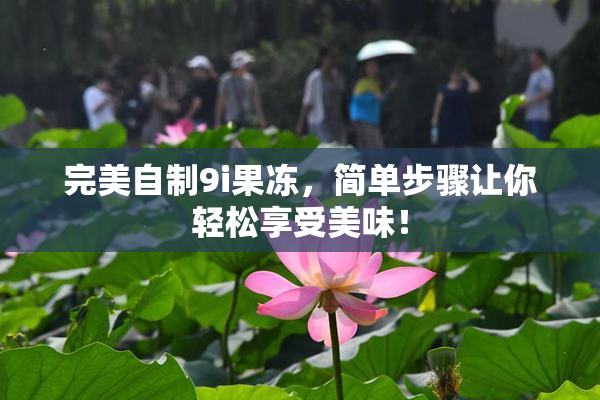 完美自制9i果冻，简单步骤让你轻松享受美味！
