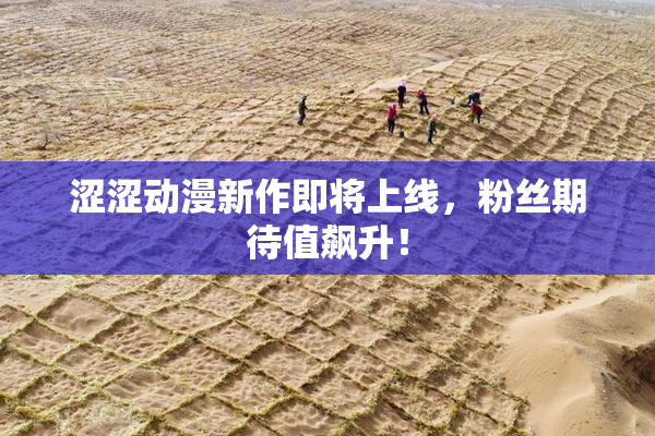 涩涩动漫新作即将上线，粉丝期待值飙升！