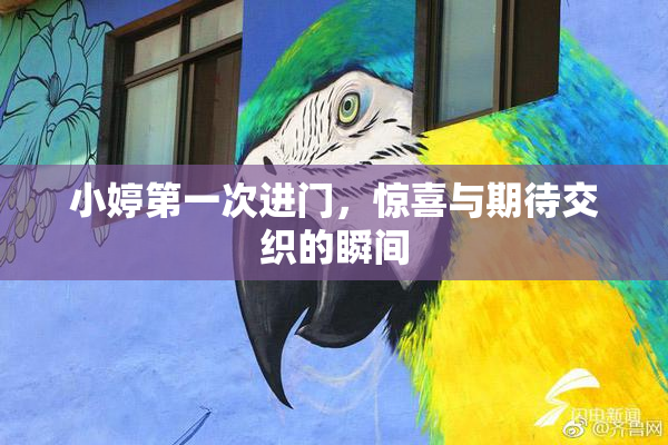 小婷第一次进门，惊喜与期待交织的瞬间