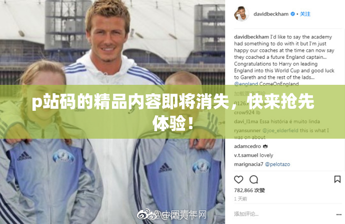 p站码的精品内容即将消失，快来抢先体验！
