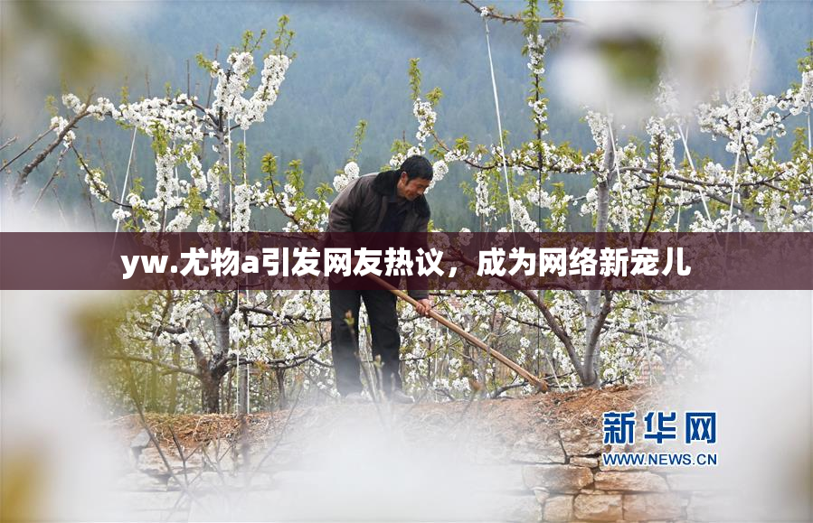 yw.尤物a引发网友热议，成为网络新宠儿