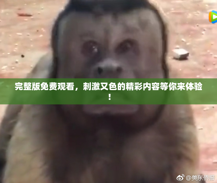 完整版免费观看，刺激又色的精彩内容等你来体验！