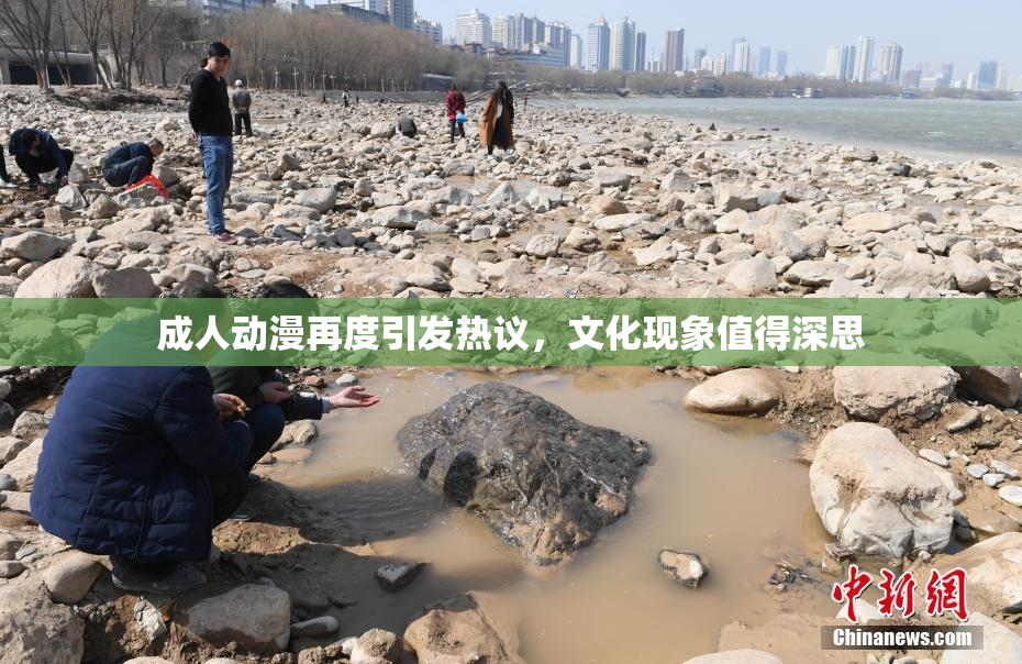 成人动漫再度引发热议，文化现象值得深思