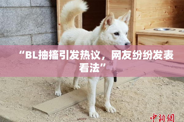 “BL抽搐引发热议，网友纷纷发表看法”