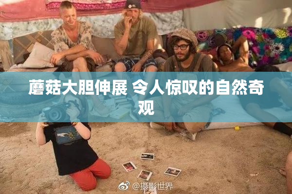 蘑菇大胆伸展 令人惊叹的自然奇观