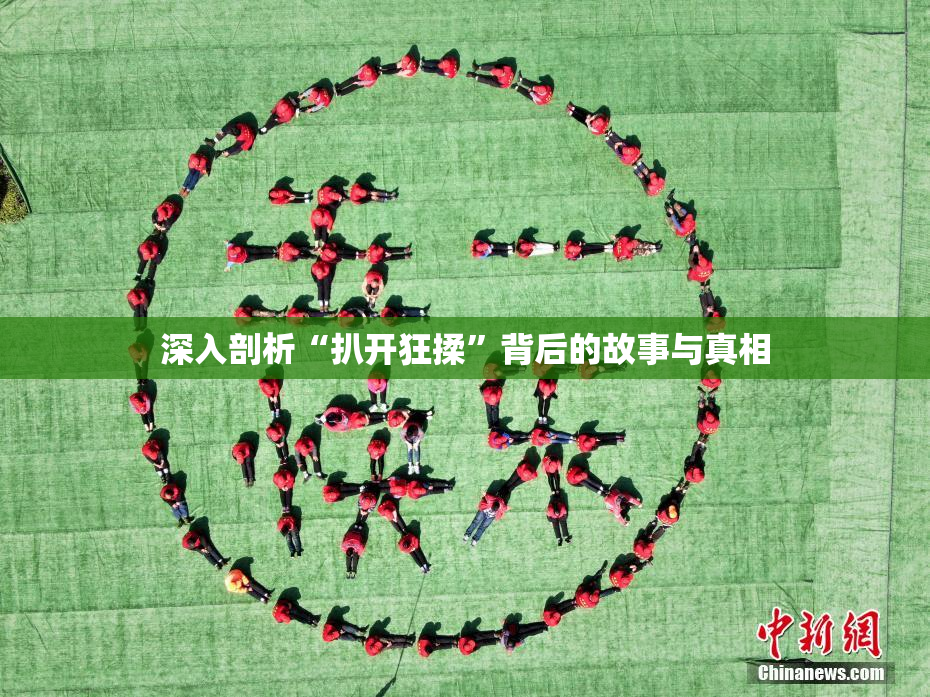 深入剖析“扒开狂揉”背后的故事与真相