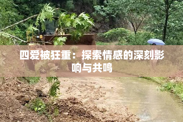 四爱被狂重：探索情感的深刻影响与共鸣