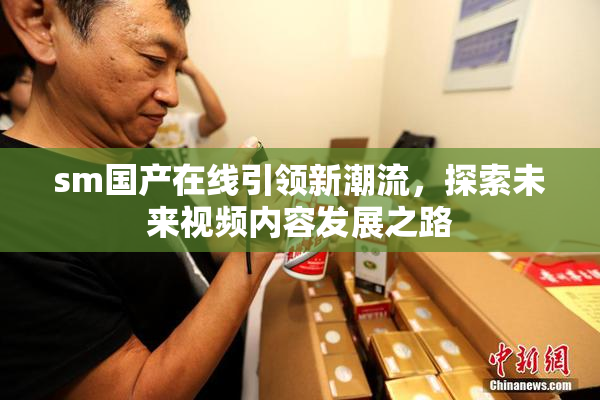 sm国产在线引领新潮流，探索未来视频内容发展之路