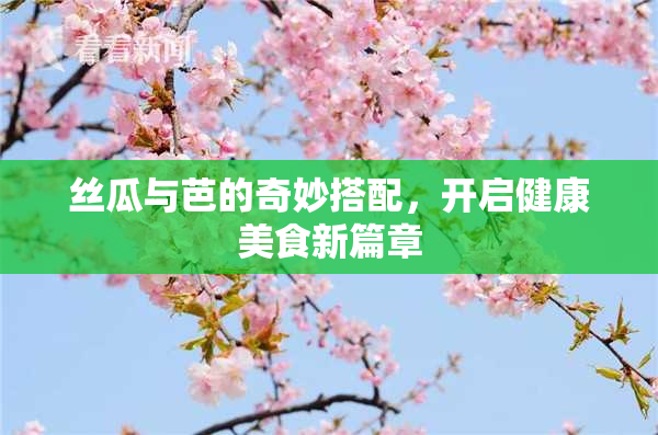 丝瓜与芭的奇妙搭配，开启健康美食新篇章
