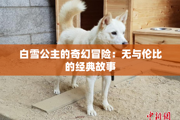 白雪公主的奇幻冒险：无与伦比的经典故事