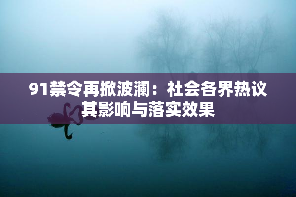 91禁令再掀波澜：社会各界热议其影响与落实效果