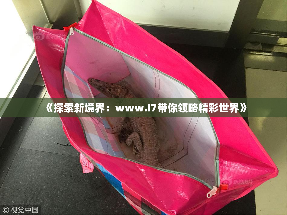 《探索新境界：www.I7带你领略精彩世界》