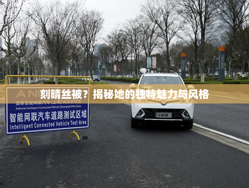 刻晴丝被？揭秘她的独特魅力与风格