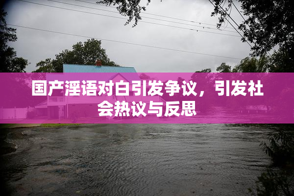国产淫语对白引发争议，引发社会热议与反思