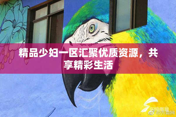 精品少妇一区汇聚优质资源，共享精彩生活