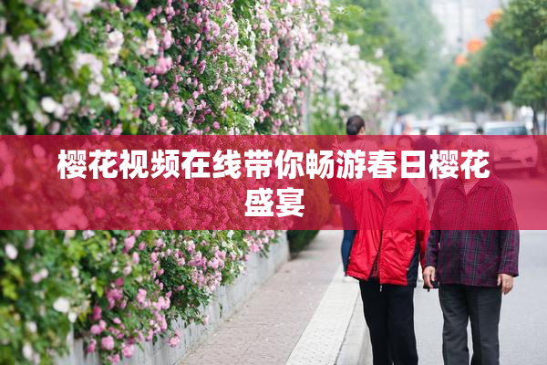 樱花视频在线带你畅游春日樱花盛宴