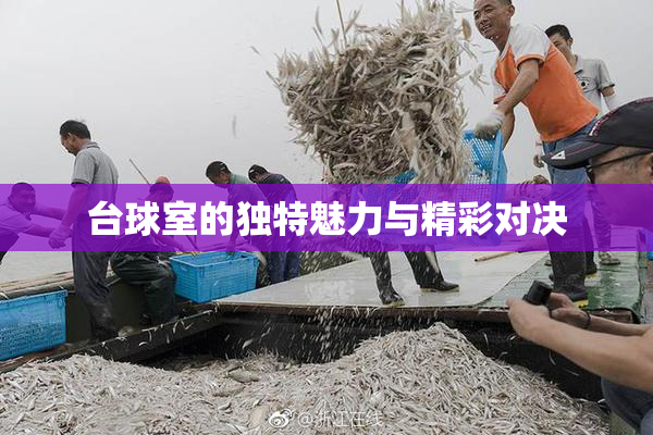 台球室的独特魅力与精彩对决