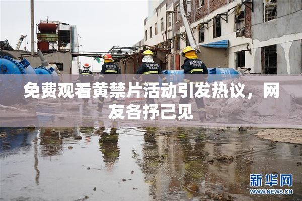 免费观看黄禁片活动引发热议，网友各抒己见