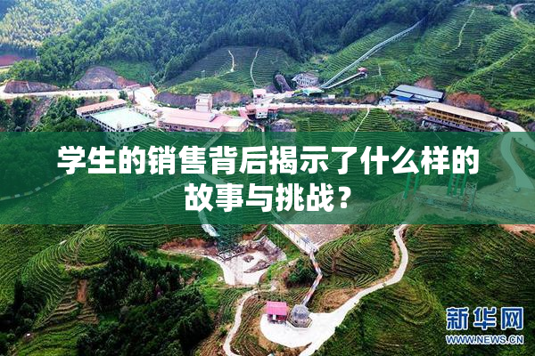 学生的销售背后揭示了什么样的故事与挑战？