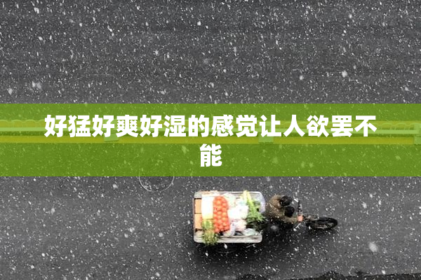 好猛好爽好湿的感觉让人欲罢不能