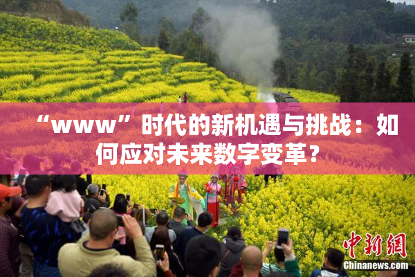 “www”时代的新机遇与挑战：如何应对未来数字变革？