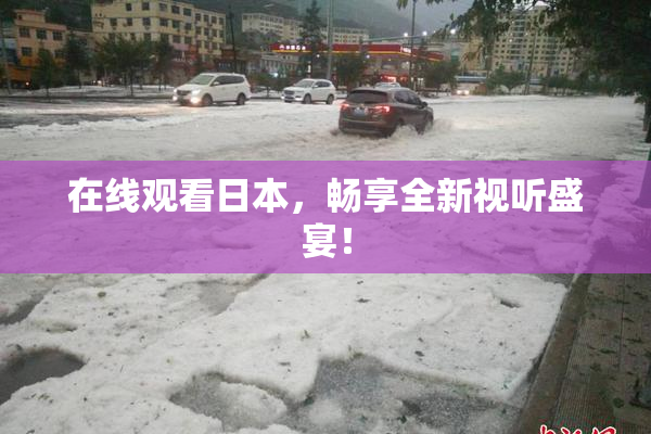 在线观看日本，畅享全新视听盛宴！