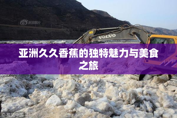 亚洲久久香蕉的独特魅力与美食之旅